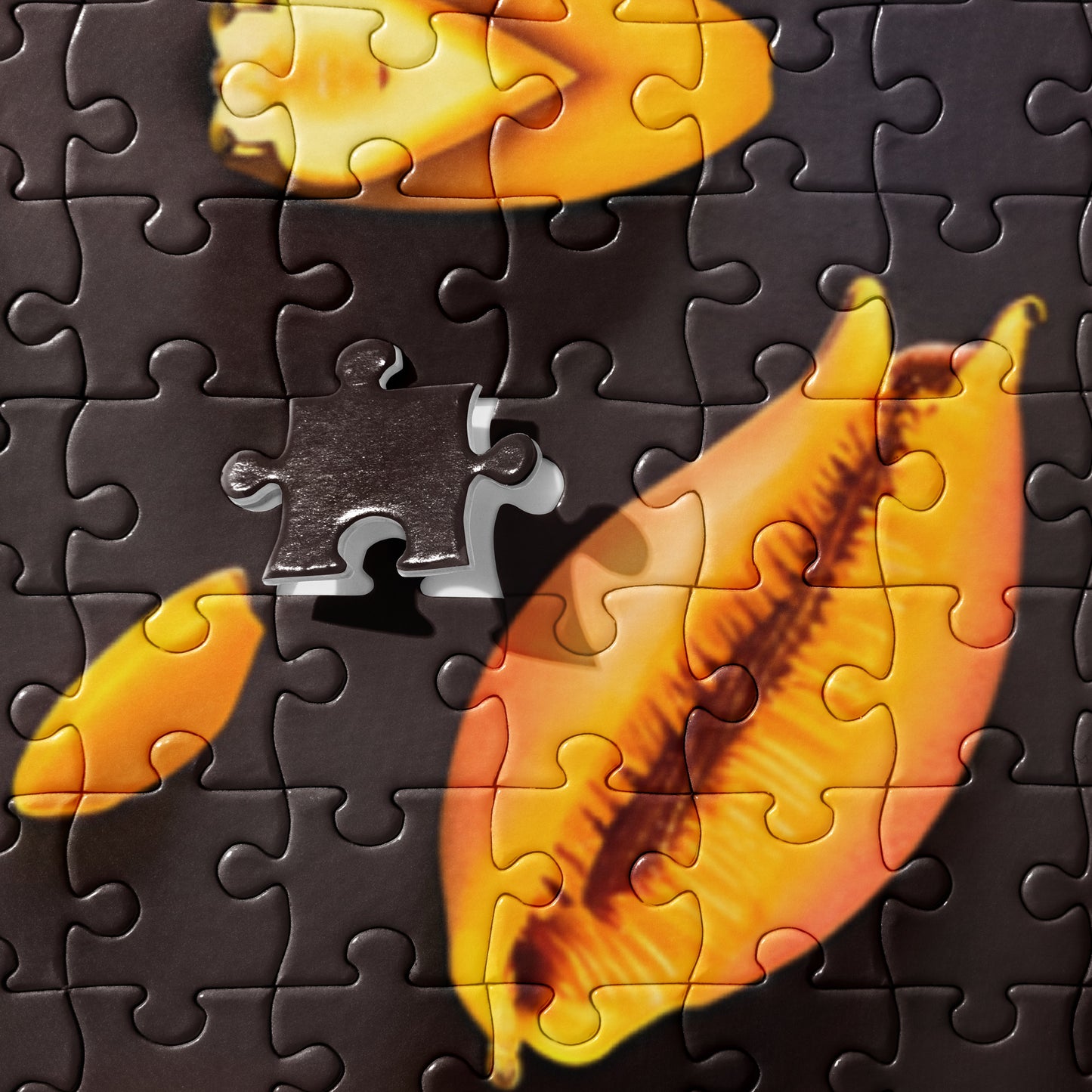 Jigsaw puzzle